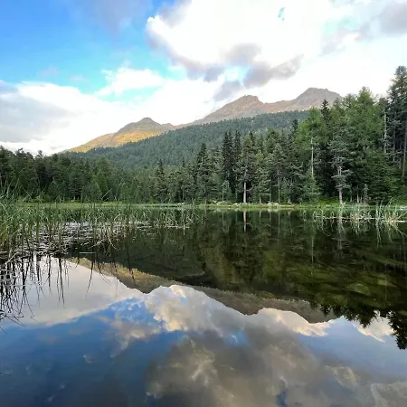 Appartamento Chesa Munteratsch 1-zimmerwohnung 103 Typ Bb
