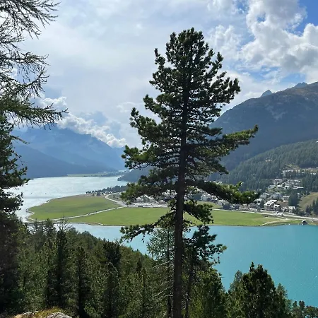 Appartamento Chesa Munteratsch 1-zimmerwohnung 103 Typ Bb Silvaplana