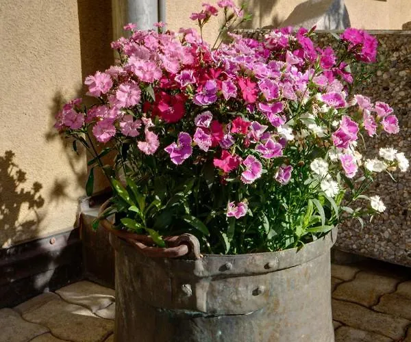 Apartman Chesa Munteratsch 1-zimmerwohnung 103 Typ Bb Silvaplana