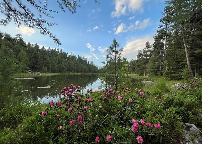 Chesa Munteratsch 1-zimmerwohnung 103 Typ Bb Apartman Silvaplana