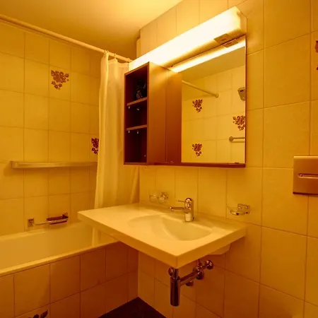 Chesa Munteratsch 1-zimmerwohnung 103 Typ Bb Silvaplana