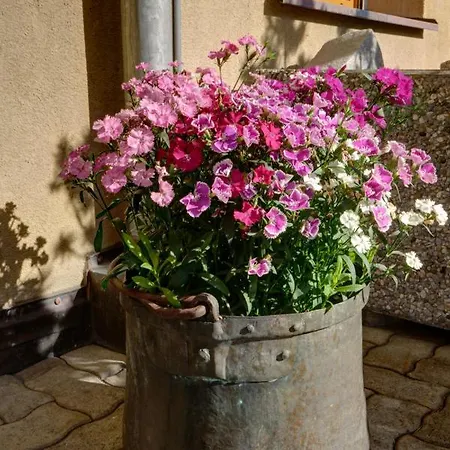 Apartment Chesa Munteratsch 1-zimmerwohnung 103 Typ Bb Silvaplana