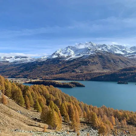 Chesa Munteratsch 1-zimmerwohnung 103 Typ Bb
